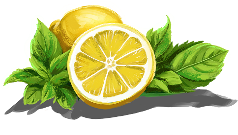 Fruit Image